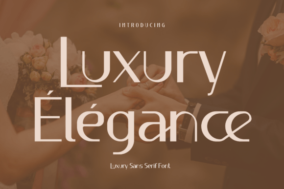 Luxury Élégance: A Playful Sans Serif Font for Modern Web Design